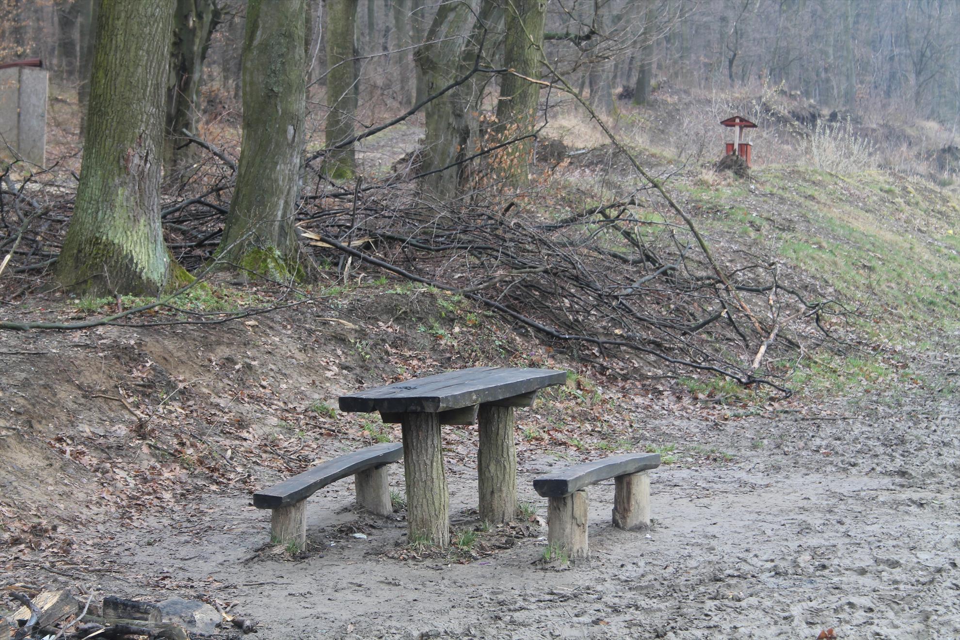 Peisaje... - harsany-aprilie2013-1091.JPG